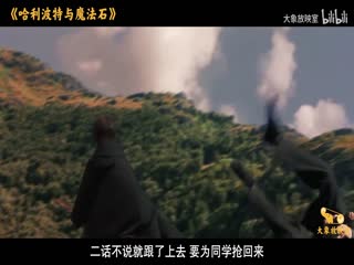 哈利·波特與魔法石_1295038_電影解說(shuō)
