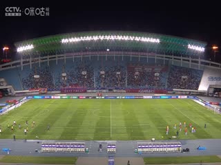 9区在线