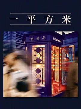 欧美风暴躁博主在线观看