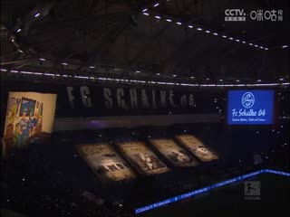 歐美日韓丁香花