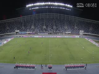 欧美在线直播平台定制