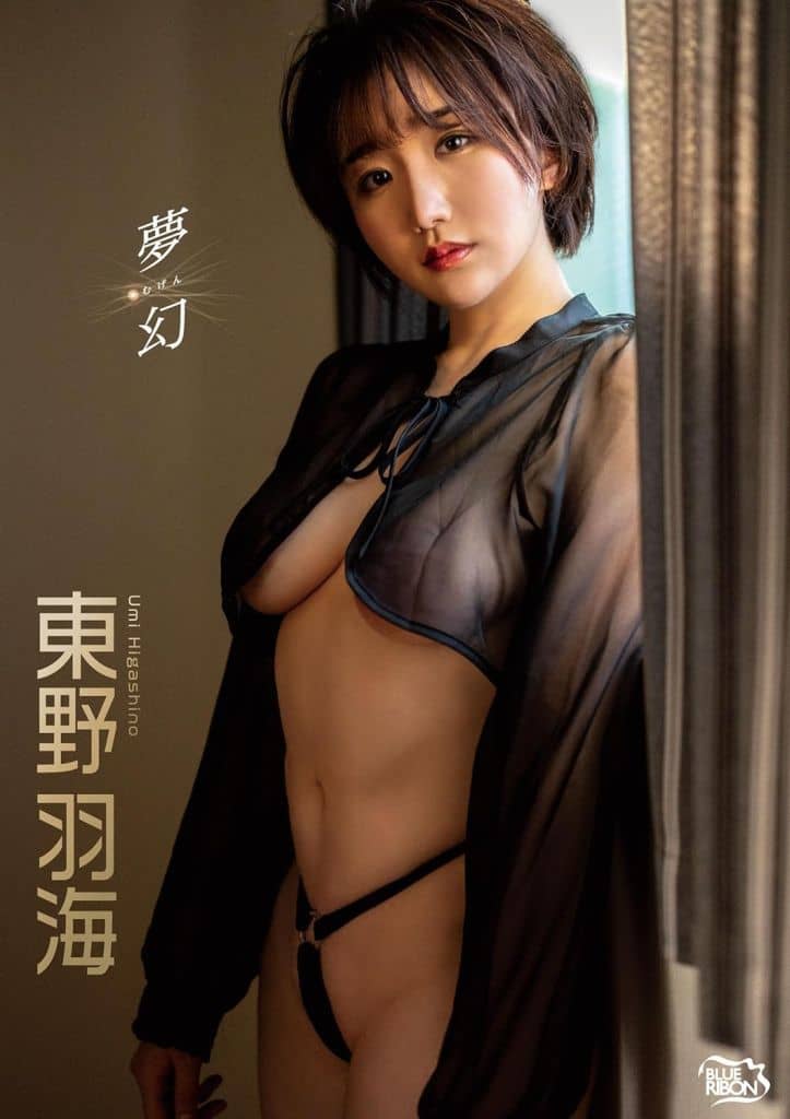 東野羽海-夢幻