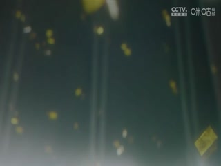 性Tv無(wú)碼影視