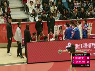 國(guó)內(nèi)精品手機(jī)視頻在線觀