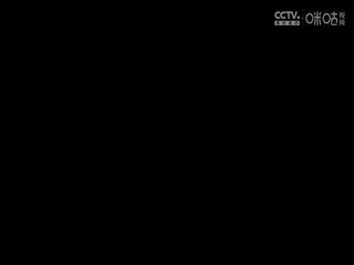 116美女午夜在線視頻