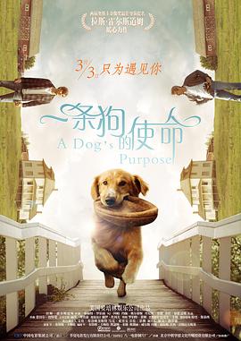 亞洲A天堂綜合在線觀看國(guó)產(chǎn)館