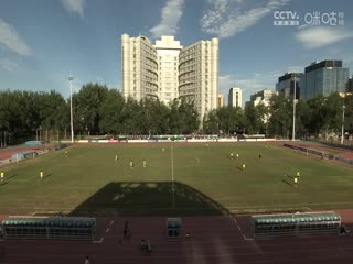 歐美碰對碰免費視頻在線