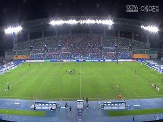 野狼影视午夜免费版观看