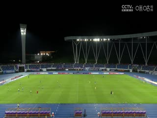 午夜免費(fèi)一級(jí)大綠像觀看