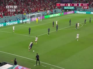 突尼斯VS法國
